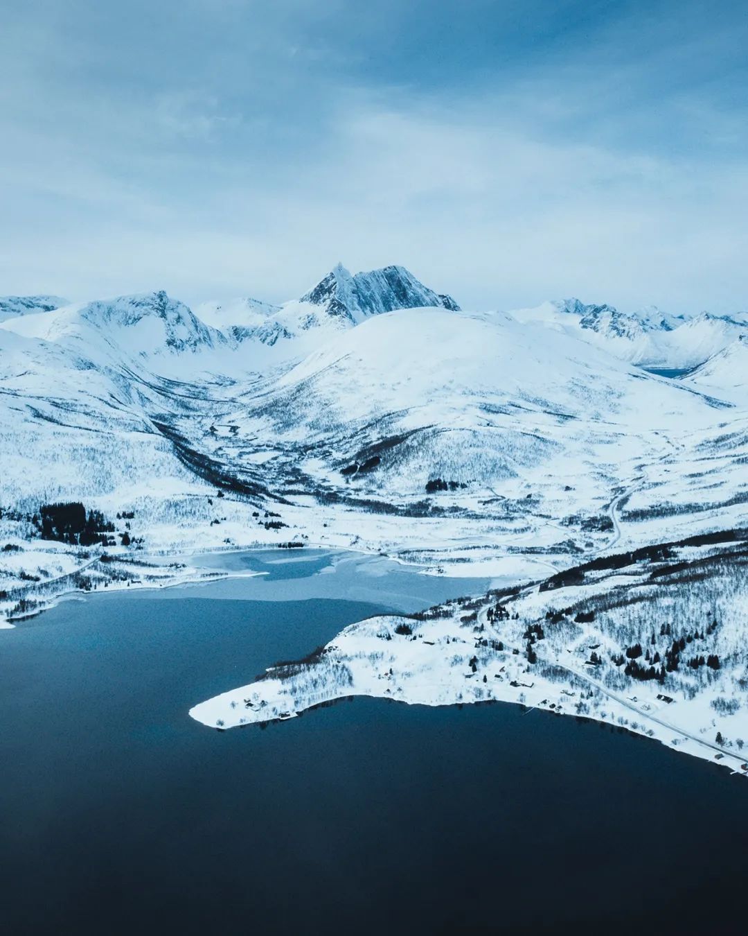 1658891418794966.jpg 1.jpg