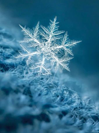 1658891460884835.png 3.png