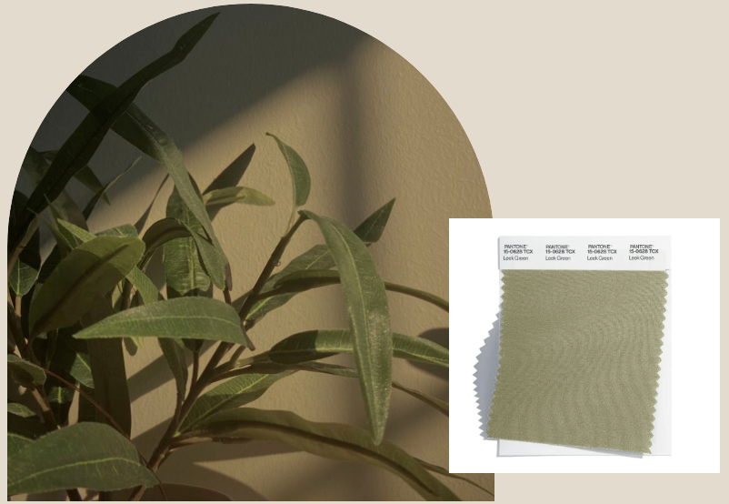 1681285475758910.png 008.png